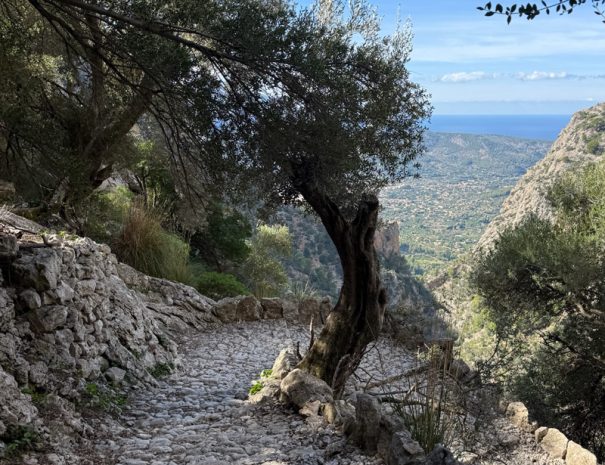 mallorca-gr221-1