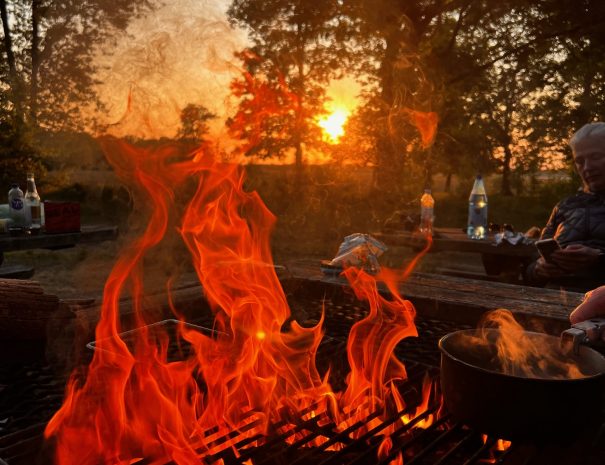 09E63D24-BEBA-4541-9229-1A4B7A8C123A