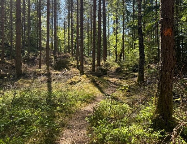 0EE83F52-54D4-47FA-975A-4D185C325B90