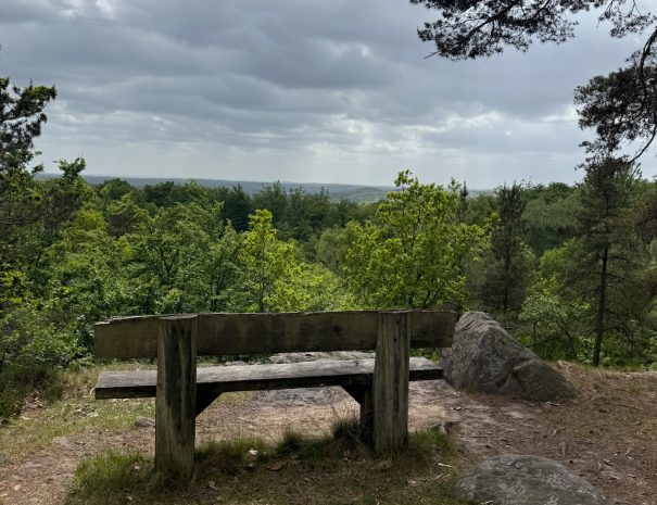 2BA232AD-BDC4-4BEC-B852-48D14FDE2F23