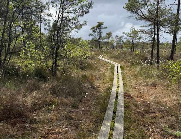 456E531A-2280-4277-857C-1BFEF9767E54