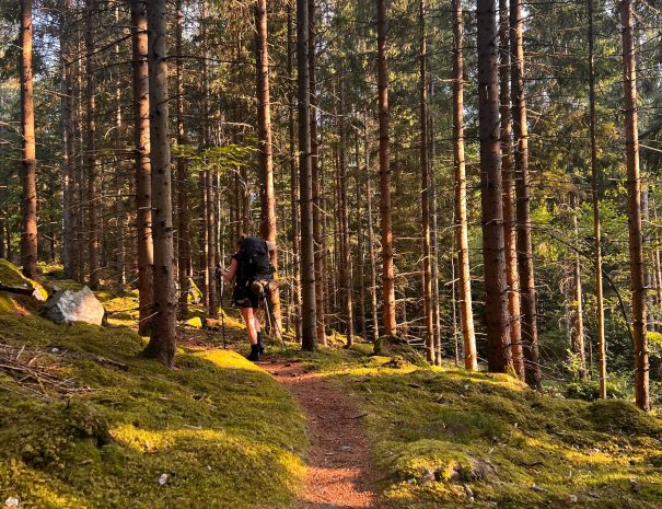 4A9DF97B-1648-4E5D-8F49-238FB777F58D