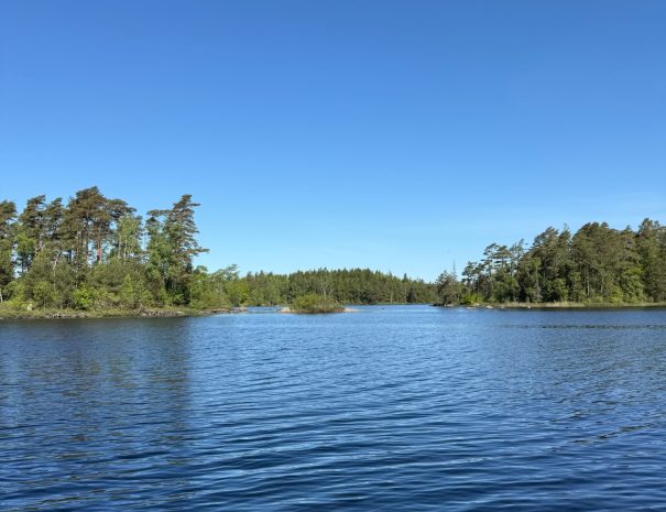 5267128F-B54F-43AB-8332-C85D730C2AE7