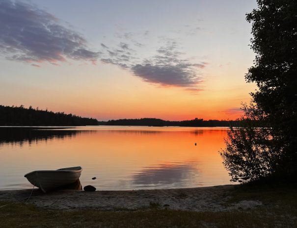 5DAD82D1-7E0D-4056-B8E4-E9DC7883ED22