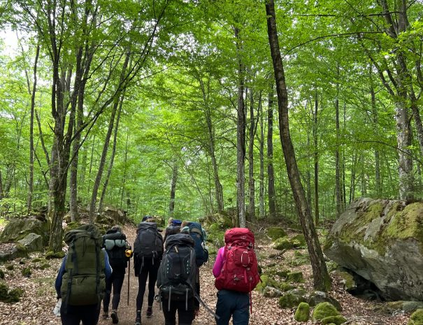 6B46328E-0D4A-4B1A-8A1B-E119E2375997