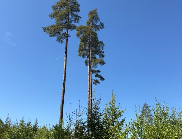 70363672-A7B1-496D-B179-9FCF17E7E063