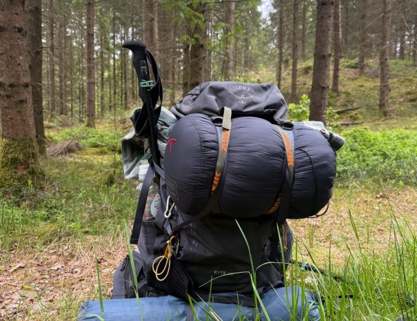 7900FAFD-D5FA-4FE1-A5BE-D50DCC269AE9