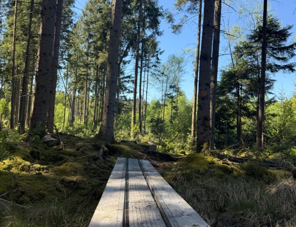 837C84D5-5BDB-4FDC-8C0F-2F13DB12F01D