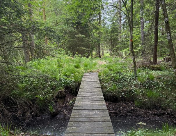 88D52295-610A-4403-AA12-99A12525700D