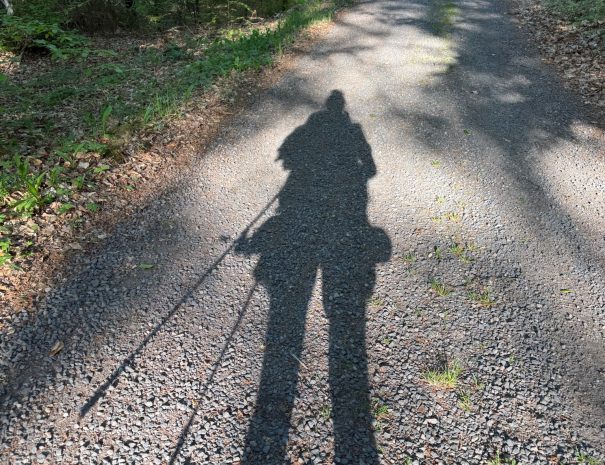 92FC6EFD-7713-4F85-9A8F-D9C347355188