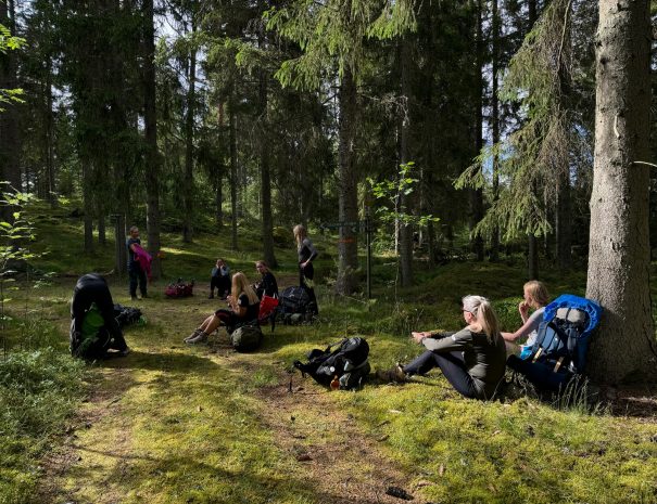 9D669C79-B0F0-4369-ADBF-4AD8D55407DB