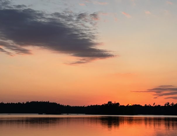 D03AB57E-BE12-4C69-9398-208F043C2639