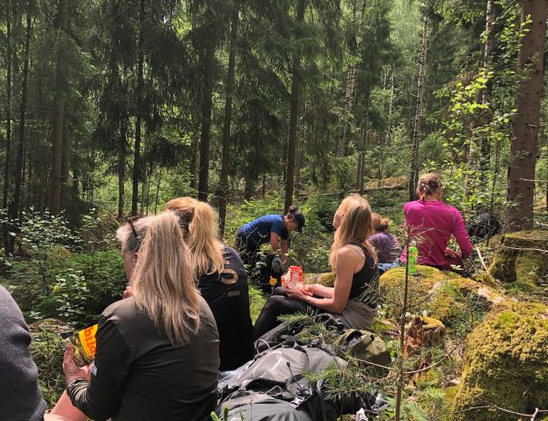 D38B40B7-81AD-476F-97DA-6BB33FD8B212