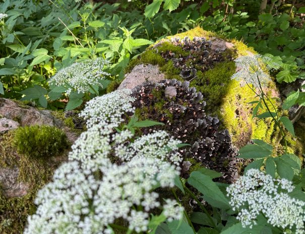 F6474738-EF0E-4A94-A4F1-84D62E2CCB2D