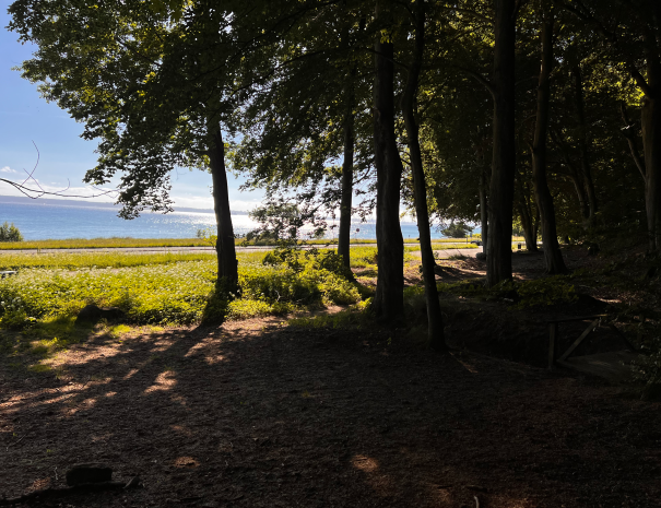 Teglstrup_Hegn_08