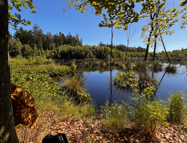 Teglstrup_Hegn_12