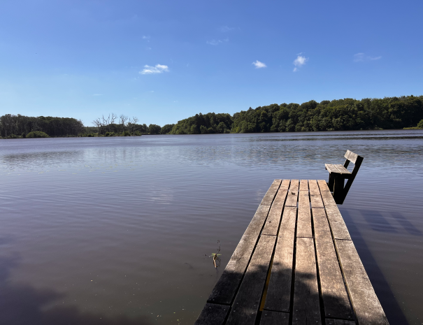 Teglstrup_Hegn_13