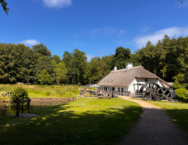 Teglstrup_Hegn_14