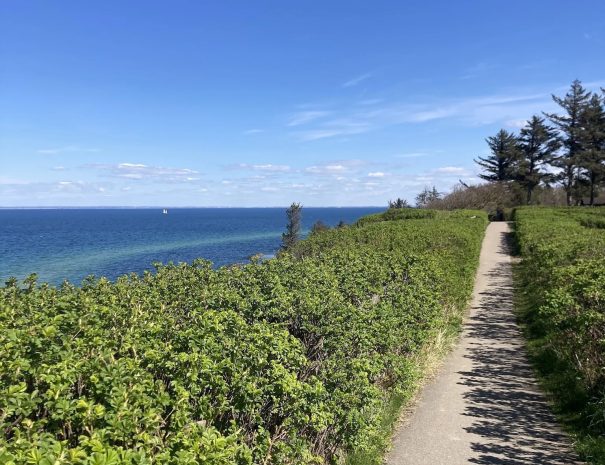 Nordkyststien_Tisvilde_02