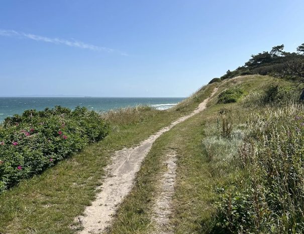 Nordkyststien_Tisvilde_05