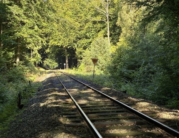 Nordkyststien_gilleleje_05