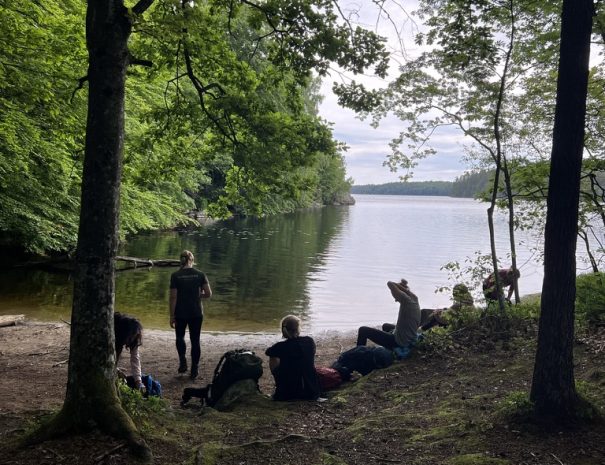 43E98077-7374-4EA1-BFC6-16AE2C1E13A4_1_105_c